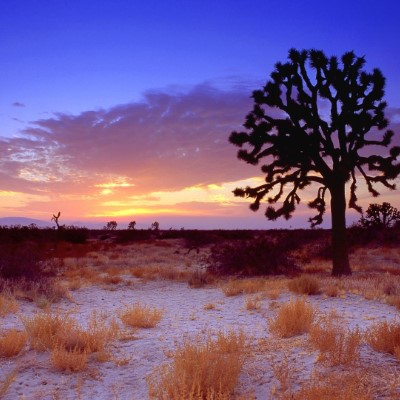 1920 x 1080 HD Wallpapers 2748